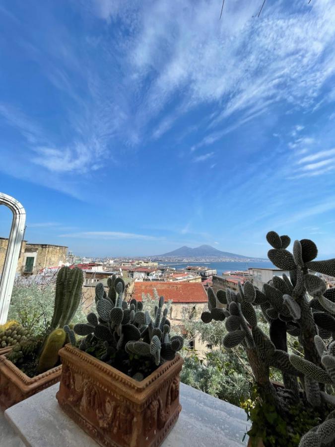 Alma De Templarsf - Stunning Design Home With Sea View And Terrace Napoli Eksteriør bilde