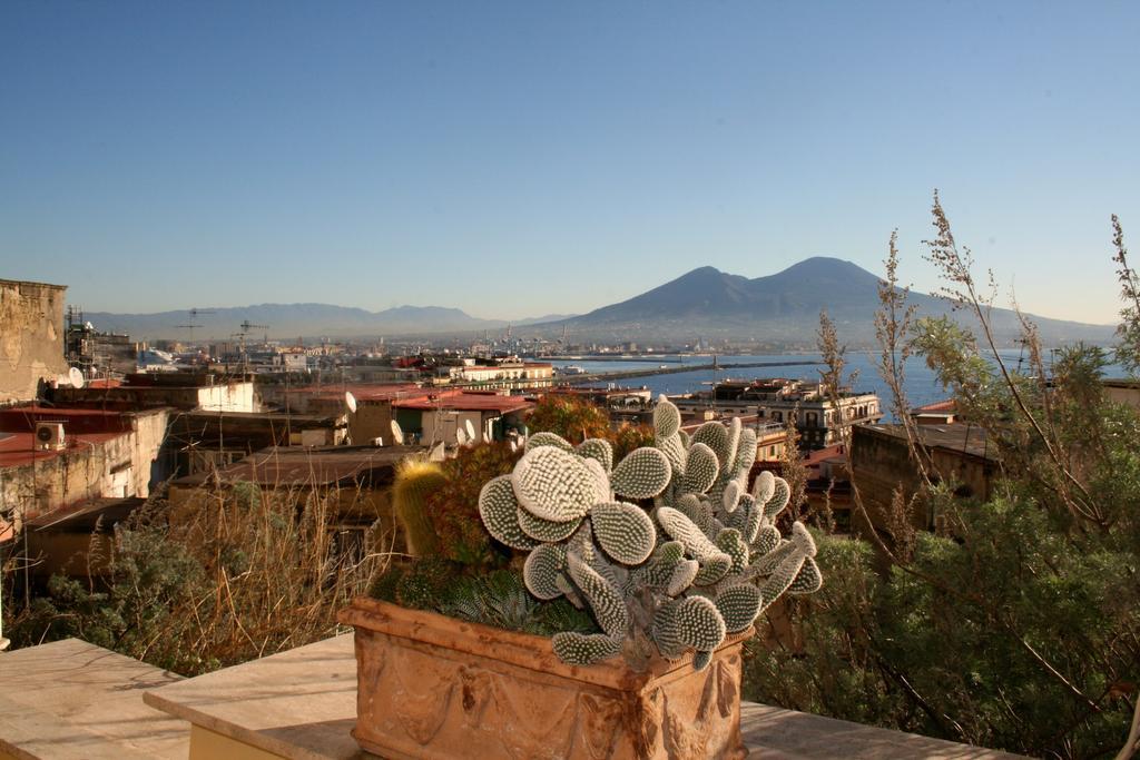 Alma De Templarsf - Stunning Design Home With Sea View And Terrace Napoli Rom bilde